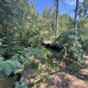 Birmingham Zoo- Primate House- Giant anteater exhibit