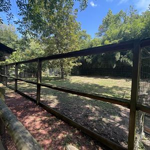 Birmingham Zoo- Bird Gardens- Red-crowned crane exhibit