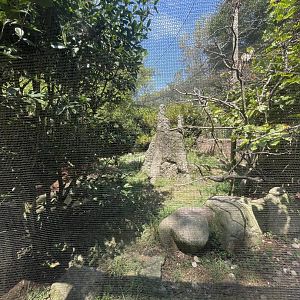 Birmingham Zoo- Bird Gardens- Australian aviary