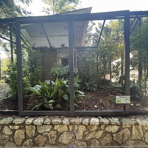 Birmingham Zoo- Bird Gardens- Green aracari exhibit