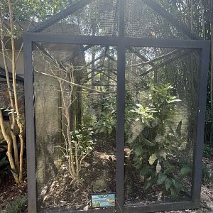 Birmingham Zoo- Bird Gardens- Red-crested turaco exhibit