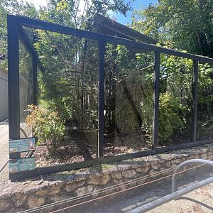 Birmingham Zoo- Bird Gardens- Cape Thick-knee and red-billed hornbill exhibit