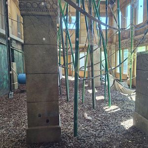 The Islands- Indoor Orangutan Exhibit