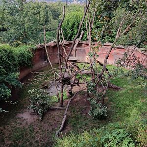 North American Porcupine enclosure - Rock Outcrop