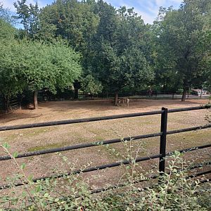 Kulan enclosure - Across the Continents