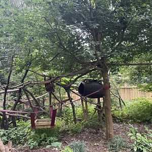 New Binturong Enclosure (1)