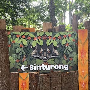 New Binturong Enclosure Signage