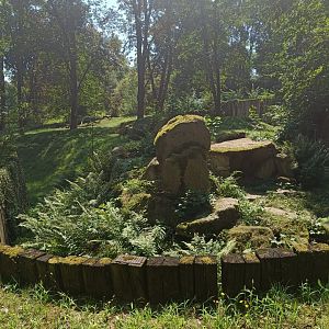 Brown Hyena enclosure - Across the Continents
