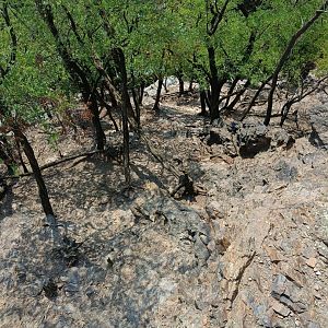 West Caucasian Tur enclosure from above - Rock Outcrop