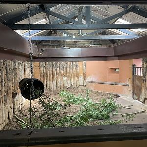 Black Rhinoceros House