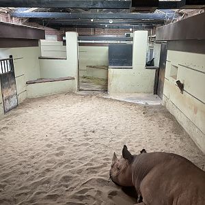 Black Rhinoceros House