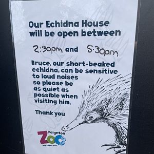 Echidna House Sign