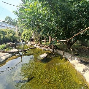 Second South American Waterfowl Aviary - Bird Wetlands