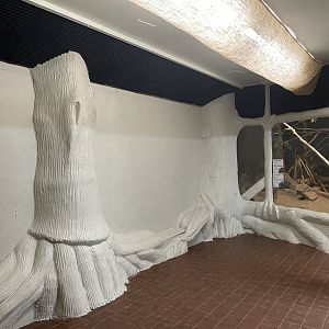 Echidna/Nocturnal House (1)