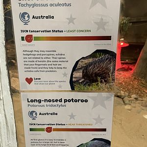 Echidna and L-N Potoroo Sign