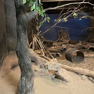 Echidna/Nocturnal House (4)