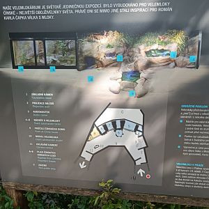 Giant Salamander Pavilion (Velemlokarium) map