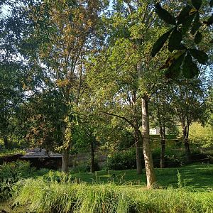 Mexican Spider Monkey island - Water World and Monkey Islands