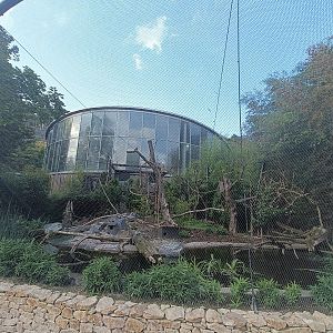 The new Sichuan Aviary