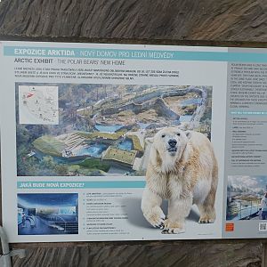 Plans for future Polar Bear exhibit - 'Arktida'