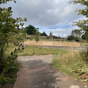 Baboon Enclosure Construction