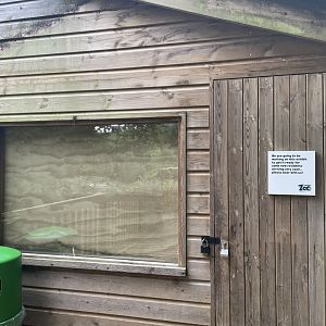 Future Enclosure in Monkey Heights