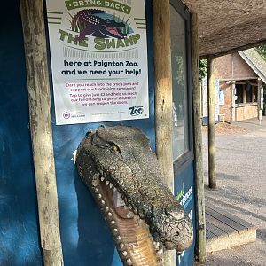 Bring Back The Swamp