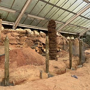 Desert House Construction (1)