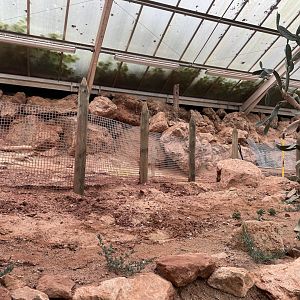 Desert House Construction (2)