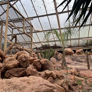 Desert House Construction (3)