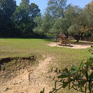 Guanaco enclosure - Across the Continents