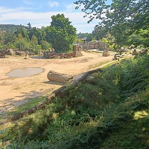 One of the Asian Elephant enclosures - Elephant Valley