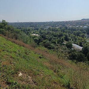 Amazing view from near restaurant