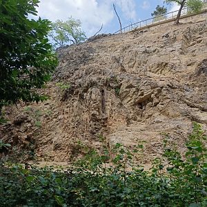 Barbary Sheep and Macaque enclosure from below - Rock Outcrop