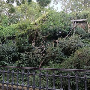 Red Panda enclosure - Rock Outcrop