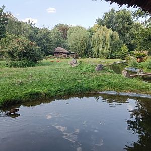 Sitatunga enclosure - Water World and Monkey Islands