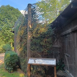 Little Owl aviary - Nature Around Us / Children's Zoo