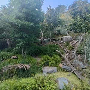 Tasmanian Devil enclosure - Darwin Crater