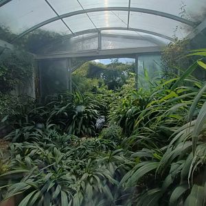 Shoebill aviary - Bird Wetlands