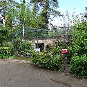 South American aviary