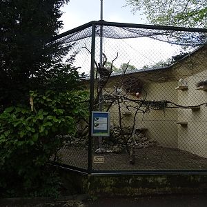 Tropenhaus: Outdoor aviary for egrets, hamerkop and spoonbills