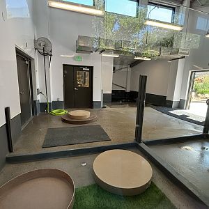 New 2024 Flamingo Exhibit