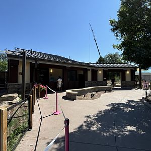 New 2024 Flamingo Exhibit