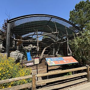 Geoffrey’s Cat Exhibit, Former Tree Kangaroo