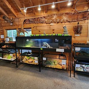 Bear Creek Nature Center (GA) -Exhibits