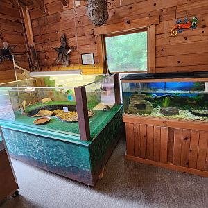 Bear Creek Nature Center (GA) - Tortoise/amphiuma exhibits