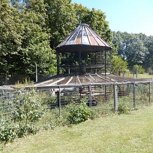 9/1/2024 - Serval Exhibit