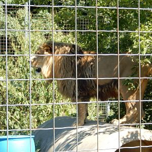 9/1/2024 - Surveying the Sanctuary