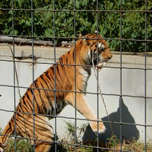 9/1/2024 - I Found Lunch!