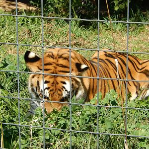 9/1/2024 - Parker's Meal